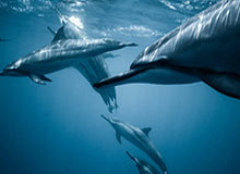 开云登录入口地址：打开无限可能的第一扇门